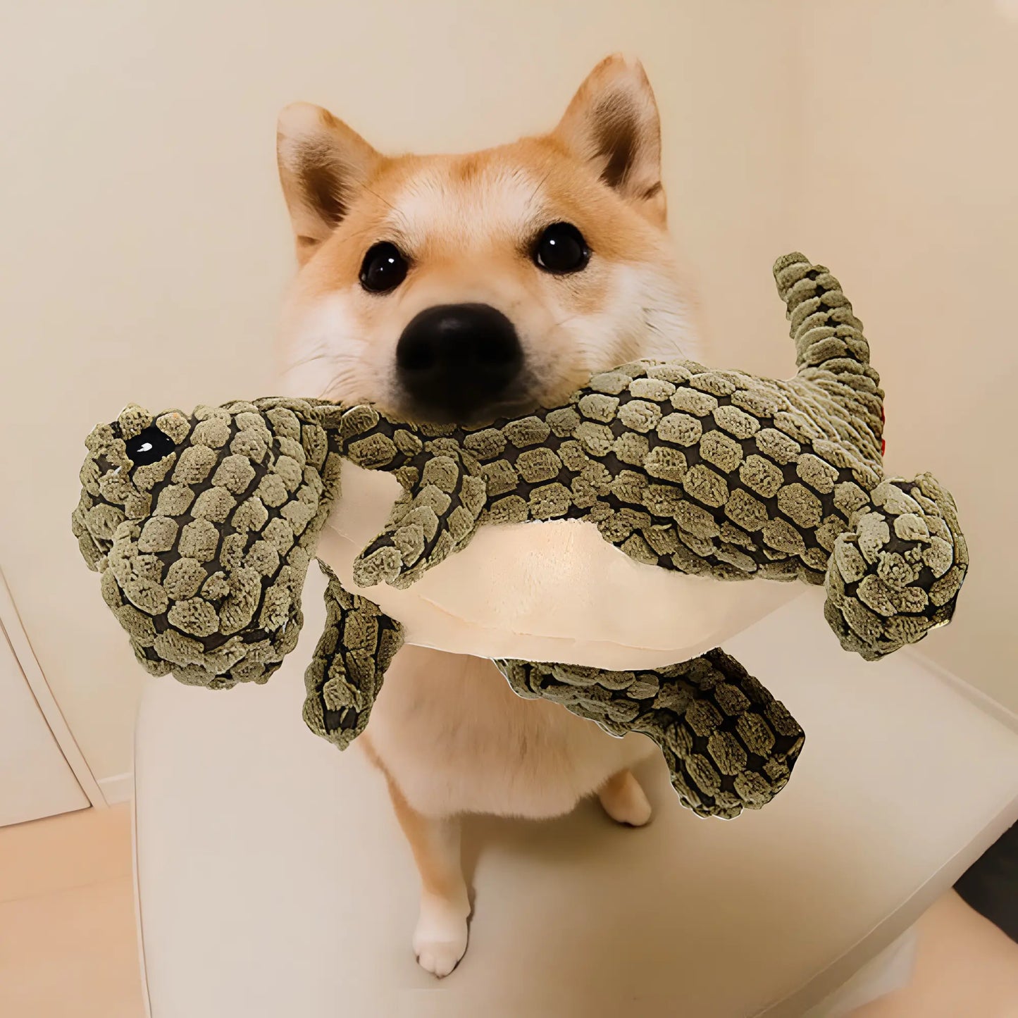 Dinosaur Dog Toys