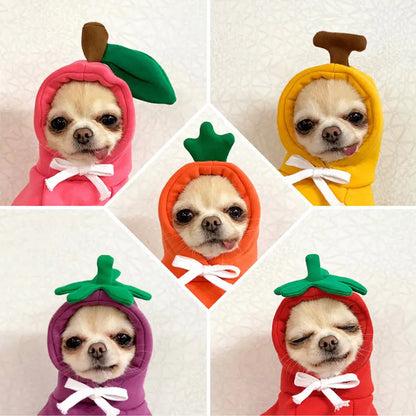 Cute AndCozy Costumes For Pet